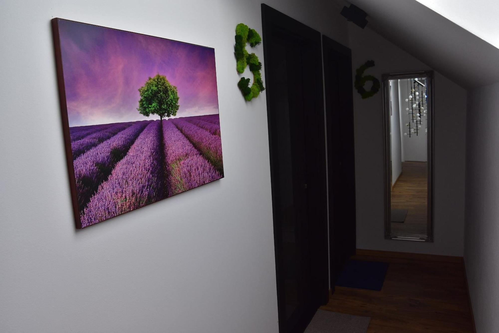 Apartmany Zakovce & Spa فيلكا لومنيكا المظهر الخارجي الصورة